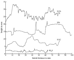 Measured profiles of four pressure solution seams, arranged with increasing roughness from bottom to top. Sample S0_8 and S12A are shown in figure above. From Renard et al. (2004).