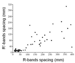 R and R' shear band spacing showing that the R' spacing increases with the R spacing though R spacing is generally larger than R' spacing due to the influence of the first generation set on the second one. Simplified from Katz et al. (2004).