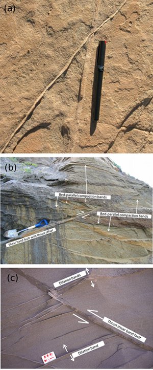 (a) A shear band (oblique in view) offsetting a high angle compaction band in the Aztec Sandstone, Valley of Fire state Park, NV. (b) A series of dilation bands associated with a shear band fault with thrust kinematics. (c) A shear band fault with thrust sense of offset and the associated splay compaction bands, many of which are bed-parallel and nearly horizontal. This structure and that in the next photo occur in unconsolidated terrace deposit exposed at a wave-cut cliff face at McKinleyville, northern California.
