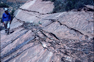 A set of shear bands in the Navajo sandstone at the core of the Kaibab Monocline, Buckskin Gulch, Utah-Arizona border.
