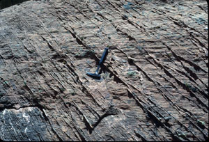 A set of closely spaced shear bands in Aztec Sandstone, Valley of Fire State Park, NV.