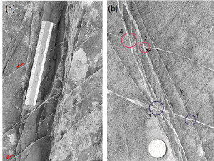 (a) Splay shear bands with left-lateral sense of shearing associated with a shear band zone in Entrada Sandsone, San Rafael Desert, Utah. 20 cm ruler for scale. From Aydin et al. (2006). (b) Photograph showing shear bands and their splays in shearing modes on a pavement of Entrada Sandstone, San Rafael Desrt, Utah. Circles numbered 1 and 2 highlight left- and right-lateral shear offsets across two shear bands with a dihedral intersection angle and circles numbered 3 and 4 show divergent splay relationships.