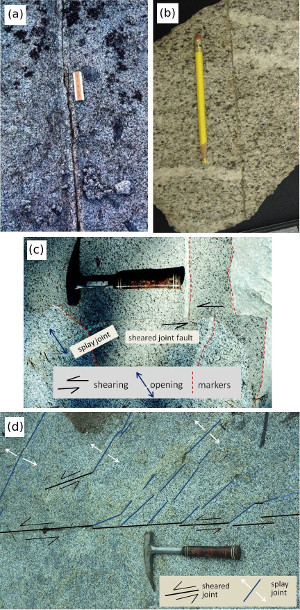 Joints, veins, and strike-slip faults in granitic rock of Sierra Nevada. (a) Joints filled by epidote (dark) and (b, c) sheared veins as evidenced by the offset of a pair of aplite dikes or veins (light colored bands) on a hand sample. (d) Splay joints associated with an array of left-lateral faults. The splays are located on one side of the faults but are generally associated either the tips of the strands or the end region or the whole array. The hand sample in (b) courtesy of D. D. Pollard.