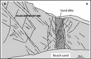 Map showing cross section of the sand dike and the structures within and around the dike in Figure 3. The sand dike, the dike-host rock boundary, and the adjacent mudstone have been faulted. Interestingly, the faults in the mudstone are sharp, probably formed by shearing of joints. On the other hand, the faults in the sand are formed by deformation localization into shear bands, probably at the same time. From Eichhubl and Aydin (1988).