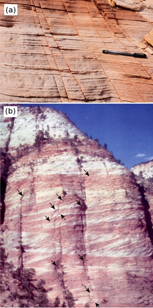 (a) A set of sheared joints with apparent offsets on the order of a few millimeters in sandstone, Valley of Fire State Park, NV. Photograph by Shang Deng. (b) A set of sheared vertical set of joints with splays at the tips (a few pointed out by arrows) in Navajo Sandstone, Zion National Park, Utah.