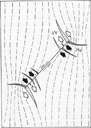 Diagram illustrating splay joints/veins (J/V) and pressure solution seams (PSS) based on stress trajectories around a shear fracture with the sense represented by half arrows and full and blank large arrows for the orientation of local compression and tension, respectively. From Petit and Mattauer, 1995.