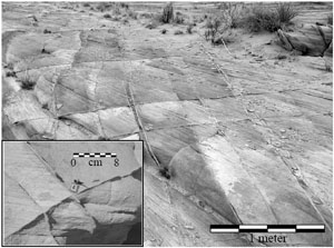 Outcrop photo showing a typical cross-hatch pattern of deformation bands in Aztec sandstone. Bands in the two sets are at high angle to each other and to bedding (approximately coincident with the outcrop face (main photo)). Looking down the axis of intersection of a cross-hatch set illustrates how planar bands can be, and how sharp their intersections (inset photo). From Sternlof (2006).