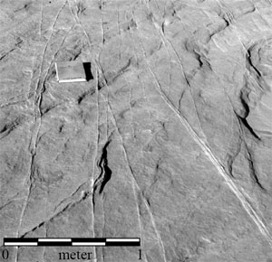 Outcrop photo showing a typical anastomosing pattern of deformation bands located along trend, but about 200 m south of the outcrop shown in Figure 1. View is to the north, bedding is very nearly coincident with the outcrop face in the foreground. From Sternlof (2006).