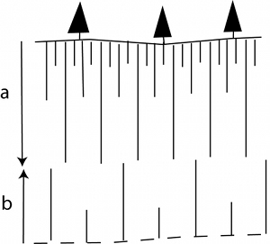 Schematic diagram showing two-tiered thermal fracture pattern. (a) and (b) scale with the cooling rates from the top and the base as well as the column bounding fracture interaction.