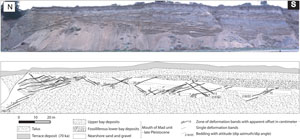 Photograph and map showing two major sets of shear bands with reverse or thrust sense of slip in poorly consolidated Pleistocene terrace deposits, McKinleyville, northern California. Also observed at the same locality are dilation and compaction bands at an angle to the dominant shear bands of thrust types. From Du Bernard et al. (2002; and Eichubbl et al. (2003).