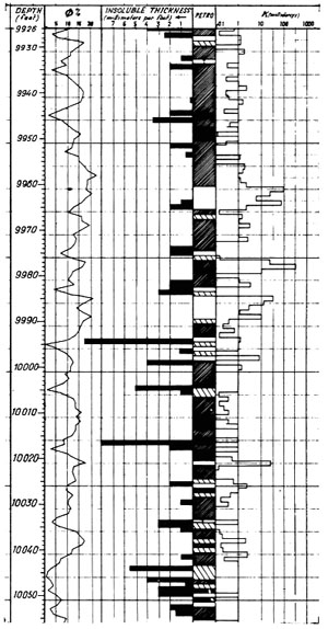 Representative porosity, stylolite, and lithology log from the crest of the reservoir structure. From Tremolieres (1984).