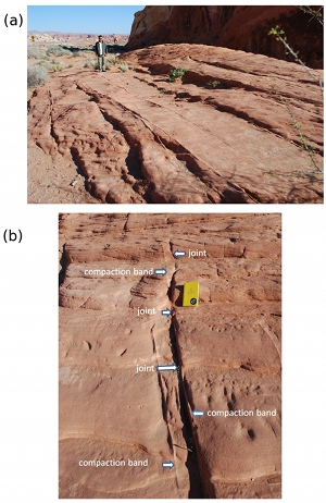 (a) High-angle compaction bands (light-color rib-like features) and sub-parallel joints enhanced by erosional faces with dark shadow due to oblique sun angle from the right. View due North at the central part of the map in Figure 1. (b) Detail picture of one of the assemblages in (a) with compaction bands and overprinting joint labelled.
