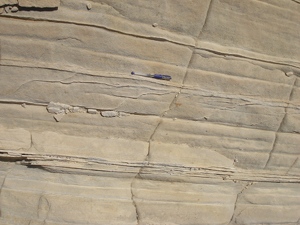 Bed-parallel compaction bands and their interaction in Aztec Sandstone cropping out about 0.5 km northwest of the Silica Dome, Valley of Fire State Park. View due North and the beds are dipping away from the viewer. Hammer for scale.