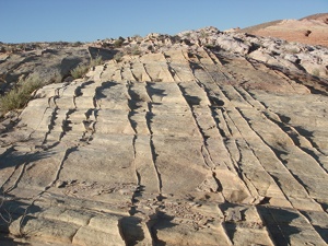 A set of high-angle to bedding compaction bands in Aztec Sandstone, Valley of Fire State Park.