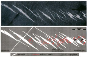 Spatial relationship between en echelon veins (left side), en echelon veins with pressure solution seams (center), and incipient pull-sparts (right side). The density of pressure solution seams increase towards the right. From Willemse et al. (1997).