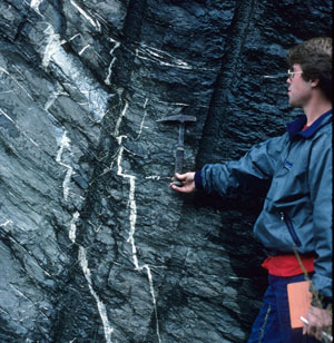 Bed-parallel slip along low-angle beds in carbonaceous shale cropping out on a road cut in Bays Mt., northeastern Tennessee. Notice top to right sense of slip (thrust) across two high-angle calcite veins.