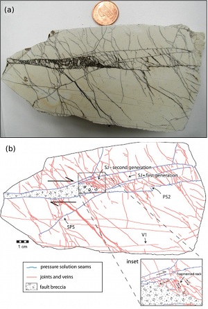 Photograph (a) and map (b) of a cut and polished surface showing an incipient fault with about 2 cm right-lateral slip. The fault zone is marked by a breccia zone filled by tar. The map shows that both pressure solution seams (blue lines) and veins (red lines) were sheared in right- and left-lateral sense, respectively. The formation of the breccia within the fault zone by progressive fragmentation of rock is associated with a high density of splay veins (consistent with the left-lateral shearing of the bounding seams) as seen in the inset.  From Graham Wall et al. 2006.