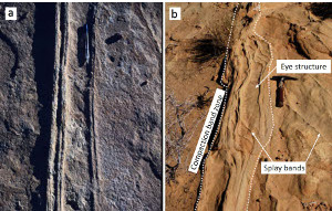 Compaction band zones in the Aztec Sandstone cropping out at Valley Fire State Park, NV. (a) An incipient compaction band zone containing only a few sub-parallel and closely-spaced bands. Pen for scale. (b) One of the largest zones of compaction bands including many bands with steps or eye structure. Also, wiggly splays within the eye structure and in the area surrounding the core appear to form a damage zone. Hammer for scale. From Torabi et al. (2015).