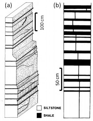 (a) Drawing of the composite joint surface in Figure 1. The siltstone layers are generally individually jointed, as indicated by each layer having its own plumose structure. Joints in adjacent siltstones are out of plane with each other, which gives the overall vertical joint trace a discontinuous and side-stepping character. This is seen better on an enlarged cross section of a portion of the structure (b). From Helgeson and Aydin (1991).