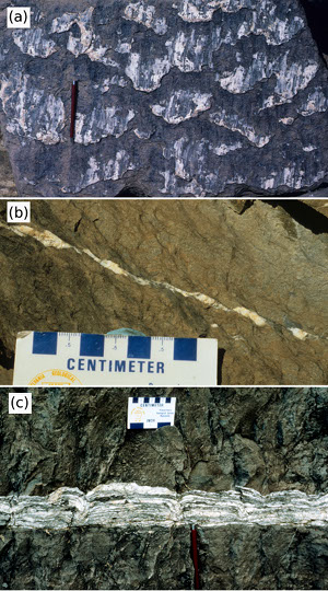 Composite thrust faults in carbonaceous mudstone rock cropping out along a road cut, Bays Mountains, NE Tennessee. (a) Patches of calcite precipitation on a thrust fault surface. (b) Isolated calcite rhombs between a simple array of echelon thrust faults in cross section. (c) A composite fault with highly overlapping multiple fault segments bounding individual calcite veins in cross section. From Ohlmacher and Aydin (1995).