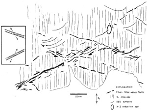 Conjugate thrust faults in an argillaceous rock, Pennsylvania. From Nickelson and Cotter (1983). The two inclined fracture systems are locally filled by pods of calcite. Although the authors reported the presence of a small amount of slip along the faults, here the arrows indicating the sense of motion along the faults are inferred based on the geometry of the tail veins and the orientation of the cleavages within the fracture zones (inset). Note that the cleavage traces bisect the larger of the fault intersection angles, which is consistent with the reduction spots (the ellipse on the x-y plane). The curved lines (SSS) are traces of slip surfaces interpreted to be pre-consolidation structures.