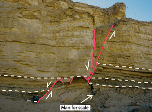 A normal fault with a contractional step in the Gulf of Suez. The throw is about 2 m. The shale unit at the bottom of the two units identified by dashed white lines shows significant reduction of thickness within the step suggesting that either the shale there contracted significantly or some shaly material extruded into the adjacent areas. From Younes and Aydin (1998).
