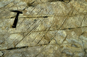 Photo showing two sets of non-orthogonal joints bounding diamond-shaped blocks in quartzite, Mosaic Canyon, Death Valley, NV. Both sets are partially filled by precipitants. The set paralleling the longer side of the photo is more continuous, while some of the diagonal fractures have truncated ends. The horizontal set is the earlier one and slightly sheared. However, in some other cases the diagonal fractures appear to cut across the older fractures.