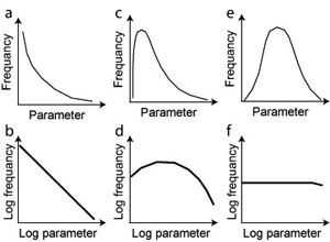 Frequency versus a dimension parameter plots in regular (a, c, and e) and logarithmic scales (b, d, and f) illustrating forms of common distribution laws, exponential or power law (a and b), log normal (c and d), and normal (e and f), respectively. Simplified from. From Bonnet et al. (2001) and Rives et al. (1992).