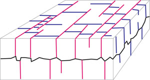 Diagram showing commonly observed, 3-orthogonal sets of pressure solution seams (black bed-parallel, red and blue bed-perpendicular). Simplified from Agosta and Aydin (2006).