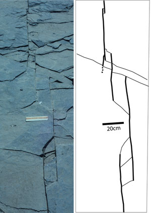 Echelon joint segments on a pavement of a siltstone bed in photograph and map, Finger Lakes, upstate New York. Other fractures surrounding the echelon joint system are left out of the map for simplicity.