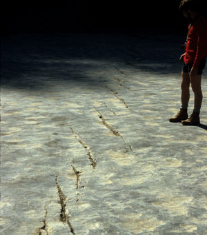 Photograph showing a joint zone made up of highly overlapped echelon joints in limestone exposed on a relatively flat river bed, Taughannock Falls, NY.