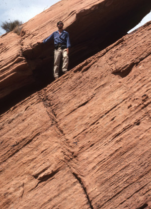 Photo showing the breakdown of a single joint into an echelon joint zone, Lake Mead, NV. Note the single joint is propagating up the cliff from the bottom of the photo. It broke down into an echelon joint zone presumably due to a slight twist in the local stress. David Campagna as a scale.