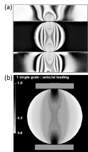 (a) Photo elastic experiments illustrating stress concentration at contacts of discs subjected to uniaxial compression. From Gallagher (1987). (b) Dynamic Element Modeling of stress localization in a grain subjected to uniaxial compression. From Du Bernard and Maerten (2001).