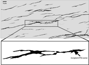 Maps of traces of pressure solution seams on a cut and polished surface of a sample from a sandstone formation cropping out in southwest Ireland. From Nenna and Aydin (2011). Upon careful examination, it is possible to deduce that many if not only the traces are composed of laterally and transversely interconnected segments of smaller pockets of residue. This theme will be revisited in describing growth of pressure solution seams.