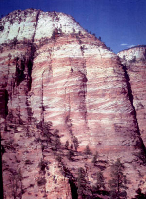 Joint traces in nearly vertical faces of the Navajo Sandstone, Zion National Park, Utah. Outcrop pictured is approximately 600 feet from top to bottom. Note that only crossbed interfaces as well as some dune boundaries are apparently inconsequential for joint termination.