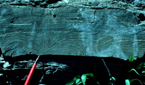 Photo showing joint initiation at a sole mark and the associated plumose structure. Watkins Glen, NY. From Pollard and Aydin (1988).