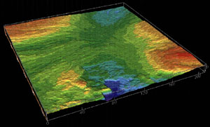 Laser profilometer image of a joint surface in siltstone sample of about 20x20 cm showing the variation of surface topography from an arbitrary plane (click on the picture to see the plane). Laser survey thanks to William Durham formerly of Lawrence Livermore National Laboratory.