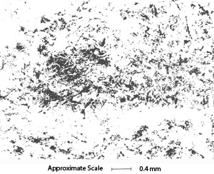 Composite SEM micrograph of Wood's metal casts of two natural fractures showing void space at 33 MPa effective stress. Void space, filled by Wood's metal, is shown in white; contact areas are black. From Pyrak-Nolte et al. (1992).