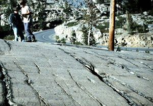 Outcrop photo showing a joint set exposed on the glaciated surface of granitic rocks at Donner Pass, Sierra Nevada, California. Note that most joints are heavily eroded and some have splays indicating small shear offset across them after the formation of the joint set. Another interesting property of the individual joints of the set is that they have different lengths in the view area. Men for scale.