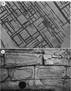 Orthogonal joint patterns: (a) A system of joints highlighted by dark stains due to paleo fluid flow in sandstone. The pattern is similar to checker-board or chicken-wire with mutually abutting terminations. From Phillips (1991). (b) A joint pattern similar to a ladder geometry in sandstone. From Bai et al. (2002).
