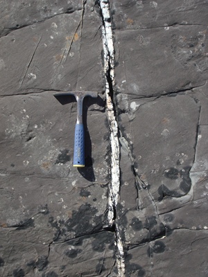 A composite right-lateral strike-slip fault with a slip magnitude of 40 cm as seen on a pavement of the Ross Sandstone platform, County Clare, southwestern Ireland. Note the elongated bodies of quartz in pull-aparts between right stepping fault segments. From Nenna and Aydin (2011).
