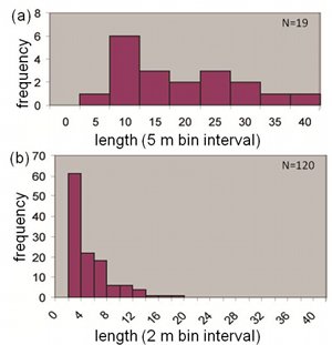 Length distributions for joint zones (a) and individual joints (b) occurring in sandstone exposed at Valley of Fire State Park, Nevada. The joint distribution has the form of typical power law while the joint zone distribution appears to have log-normal form. Unpublished data from N. Davatzes and G. de Joussineau.