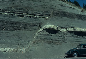 A small normal fault zone with about 3 m offset, in shale (dark colored) embedded with thin limestone layers (light colored) exposed in a nearly vertical road cut. Note that slivers of limestone pieces are imbricated along the fault zone. From Aydin (1973).