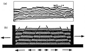 Normal fault patterns produced (a) in a sandbox experiment (McClay and Ellis, 1987) and (b) a numerical experiment using Distinct Element Model (Saltzer and Pollard, 1992).