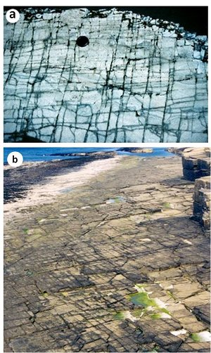 Orthogonal sets of fairly continuous joints: (a) on a bedding surface in the siliceous shale of the Monterey Formation, coastal California; (b) on a wave cut platform of flagstone, Caithness, Scotland. Photograph courtesy of Neil Grant. Note that the networks at both sites also include diagonal sets which are due to shearing of the initial orthogonal system and will be described under 'Shearing of Orthogonal Joint Sets.'