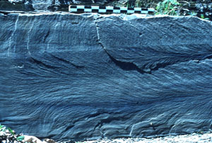 Photo showing curvilinear hackle marks on a joint surface, Watkins Glen, N.Y. See Helgeson and Aydin (1991) for other hackle mark images.