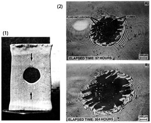 (1) Dissolution and precipitation in an experimentally deformed sample with a cylindrical hole showing the relationship between stress concentration and pressure solution. Solenhofen limestone deformed under axial load (arrows). From Sprunt and Nur 1977. The shape of the hole was originally circular, but following the deformation, it became approximately elliptical, with the major axis of the ellipse perpendicular to the direction of the axial load. (2) Reflected sodium light interferograms shown intergranular pressure solution (IPS) produced experimentally by pressing a convex halite lens against a flat halite lens in brine for the times marked on the images. Dark spots at the center are contact areas and the concentric bands are interference minima disrupted by localized mass transfer at the contacts. From Hickman and Evans (1991). The authors in a later manuscript (Hickman and Evans, 1995) produced contact geometry without significant channel boundary structures (2(A) and 2(B)). Other experiments by the authors also demonstrated the solution rate enhancement by the presence of clay in the boundary film.
