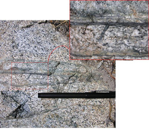 Pseudotachylyte melt along, and diagonal to, a network of faults on a glaciated surface of granitic rocks in Sierra Nevada, California. Some melt bodies were injected into the fractures in splay orientation (inset), but some others appear to be injections into nearby fractures. Photographs courtesy of D. D. Pollard. Detailed accounts of the pseudotachylyte bearing faults and the related structures are in Griffith et al. (2008).