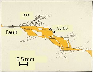 Thin section view of splay pressure solution seams and calcite veins associated with a series of echelon bedding-plane faults in carbonaceous shale cropping out in northeastern Tennessee. From Ohlmacher and Aydin (1995).