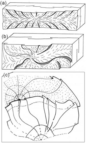 Plumose patterns in layered rocks. (a) and (b) common patterns in thin layers, the former being symmetric with linear plum axis and the latter being asymmetric with highly curved plum axes. (c) Plumose in thick layers or in massive rock bodies with either amalgamated layers or no layering.